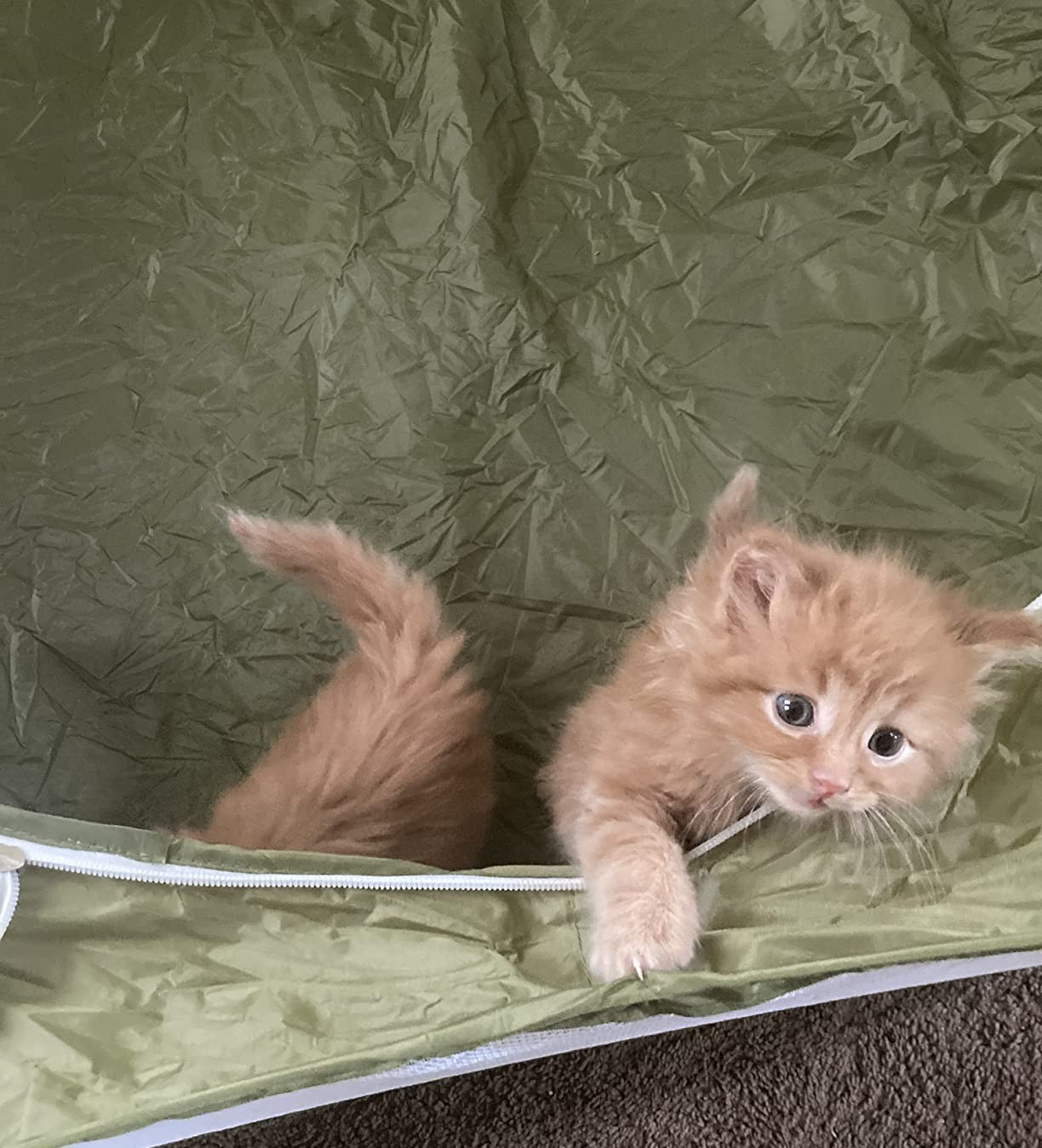 Indoor Waterproof Playpen