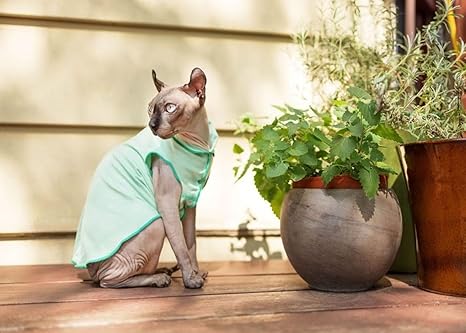 UV Protection & Cooling Shirt