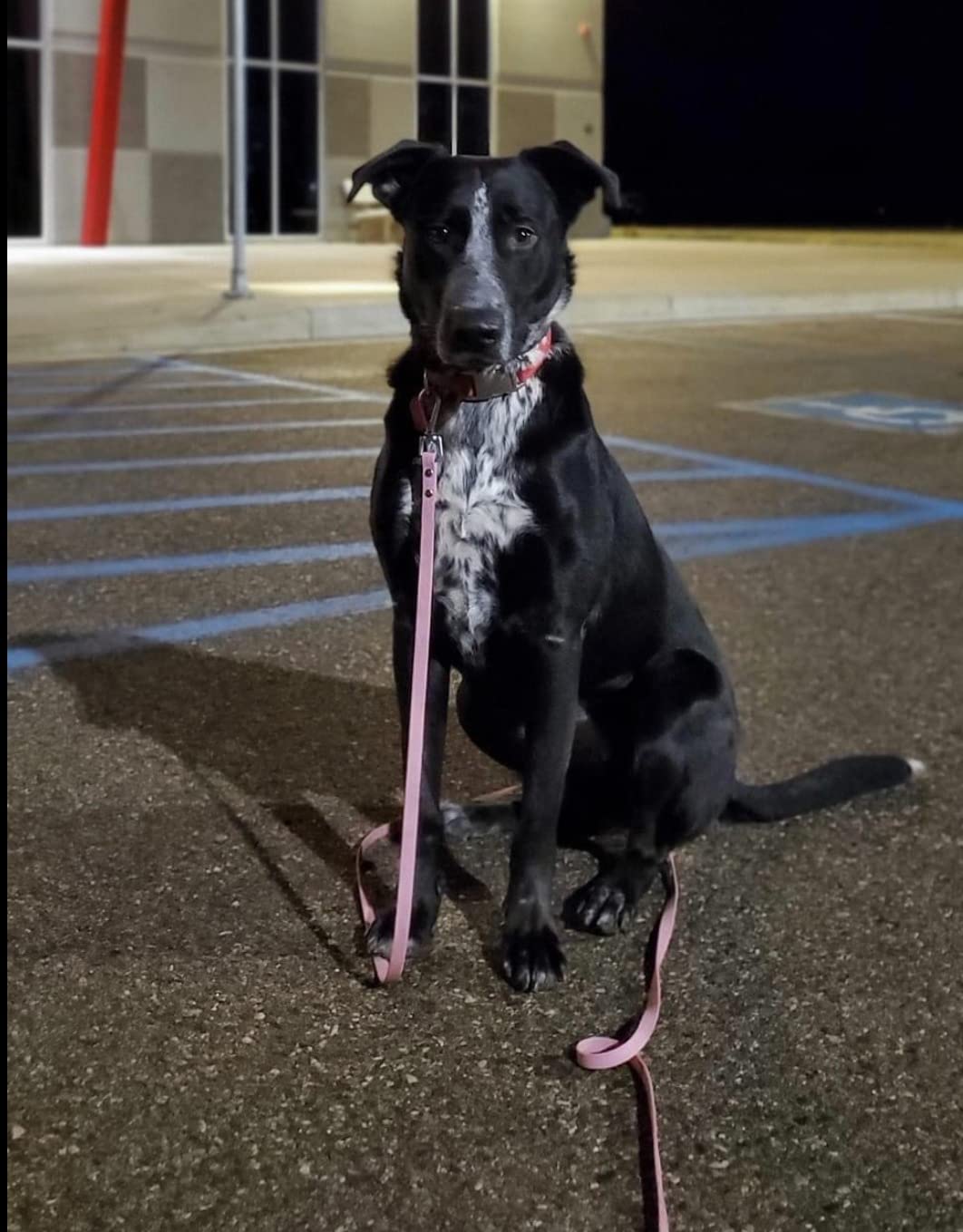 Waterproof Long Line