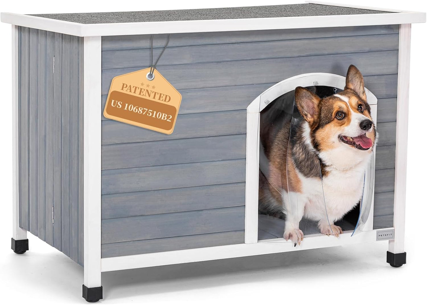 Indoor Dog House