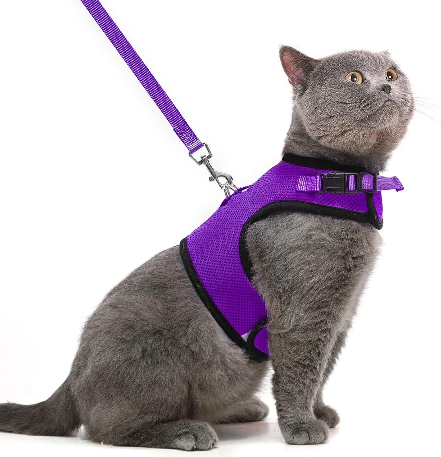 Soft Mesh Vest Harness and Leash Set