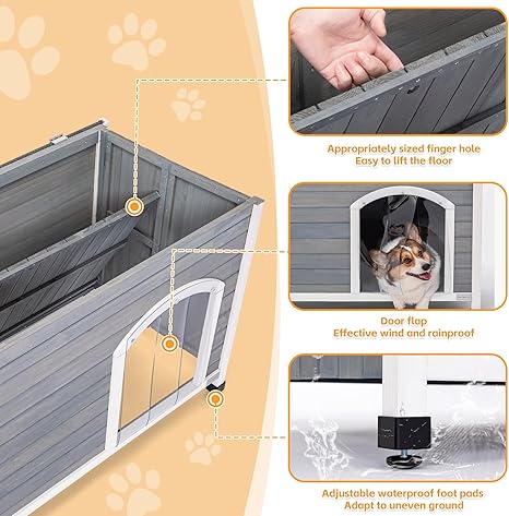 Indoor Dog House
