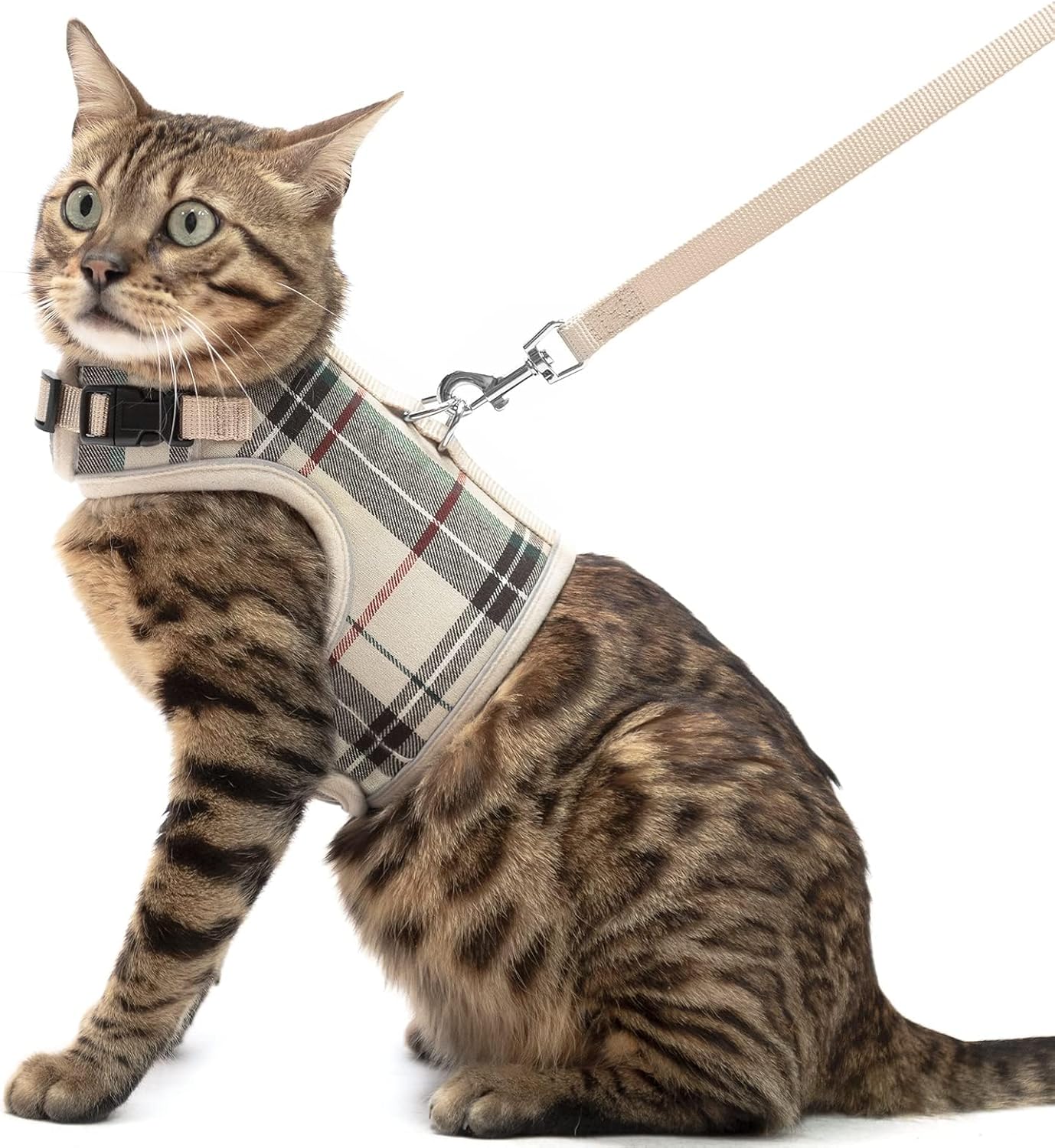 Soft Mesh Vest Harness and Leash Set