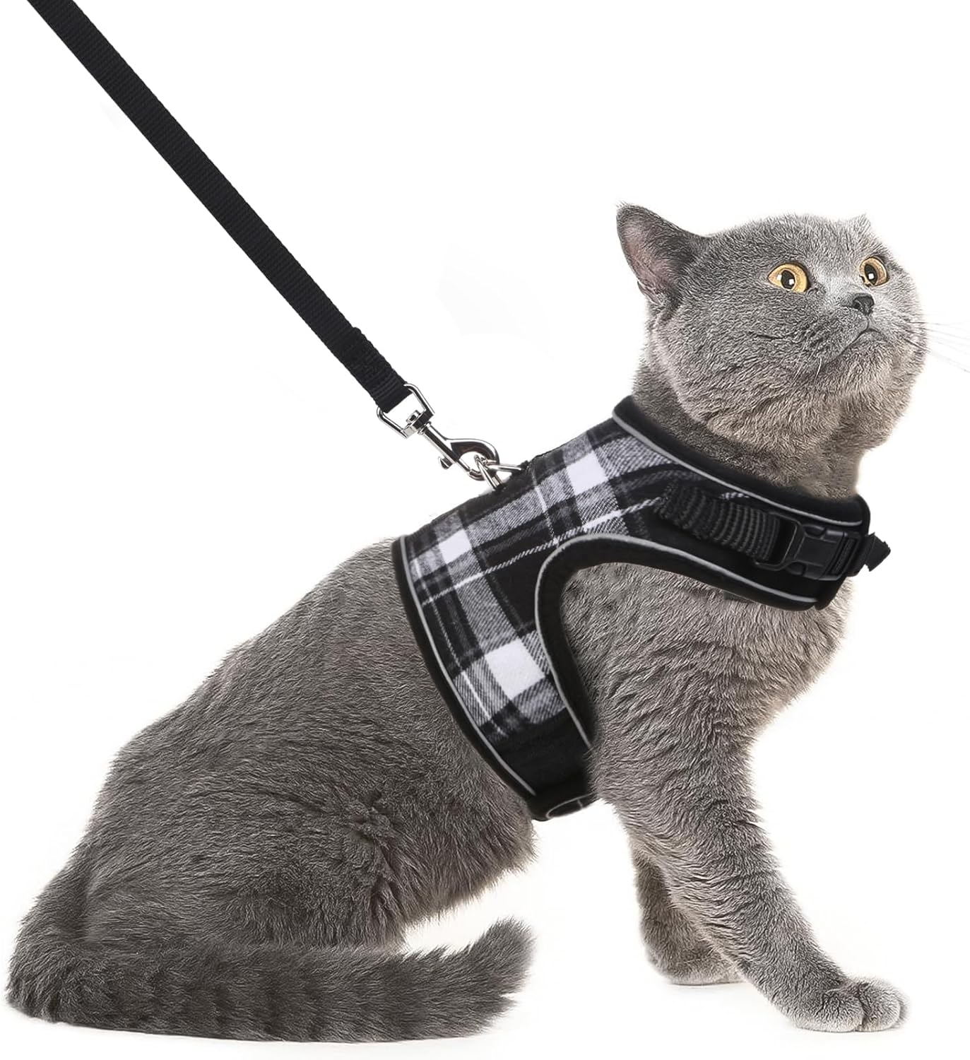 Soft Mesh Vest Harness and Leash Set