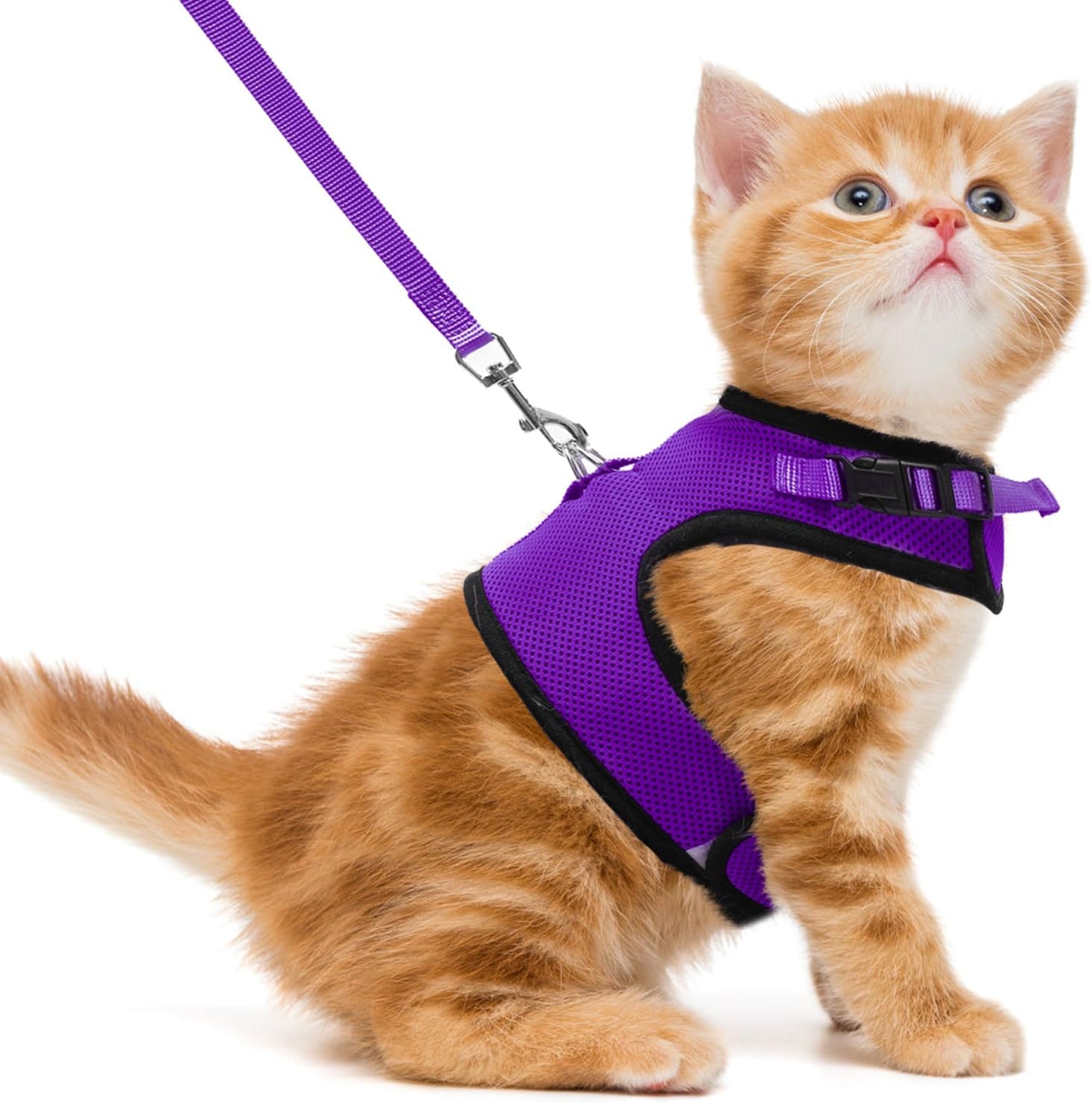 Soft Mesh Vest Harness and Leash Set