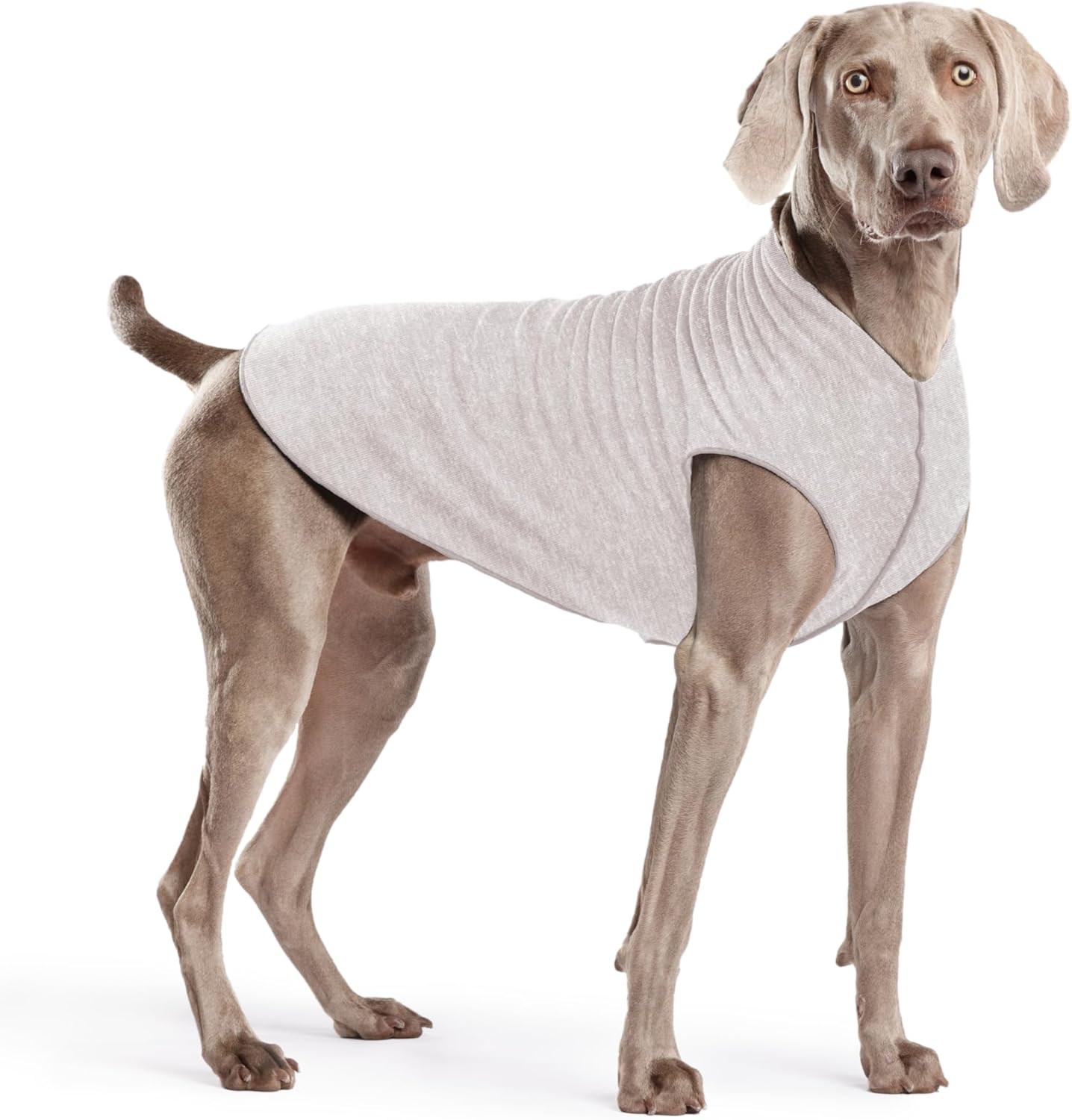 UV Protection & Cooling Shirt