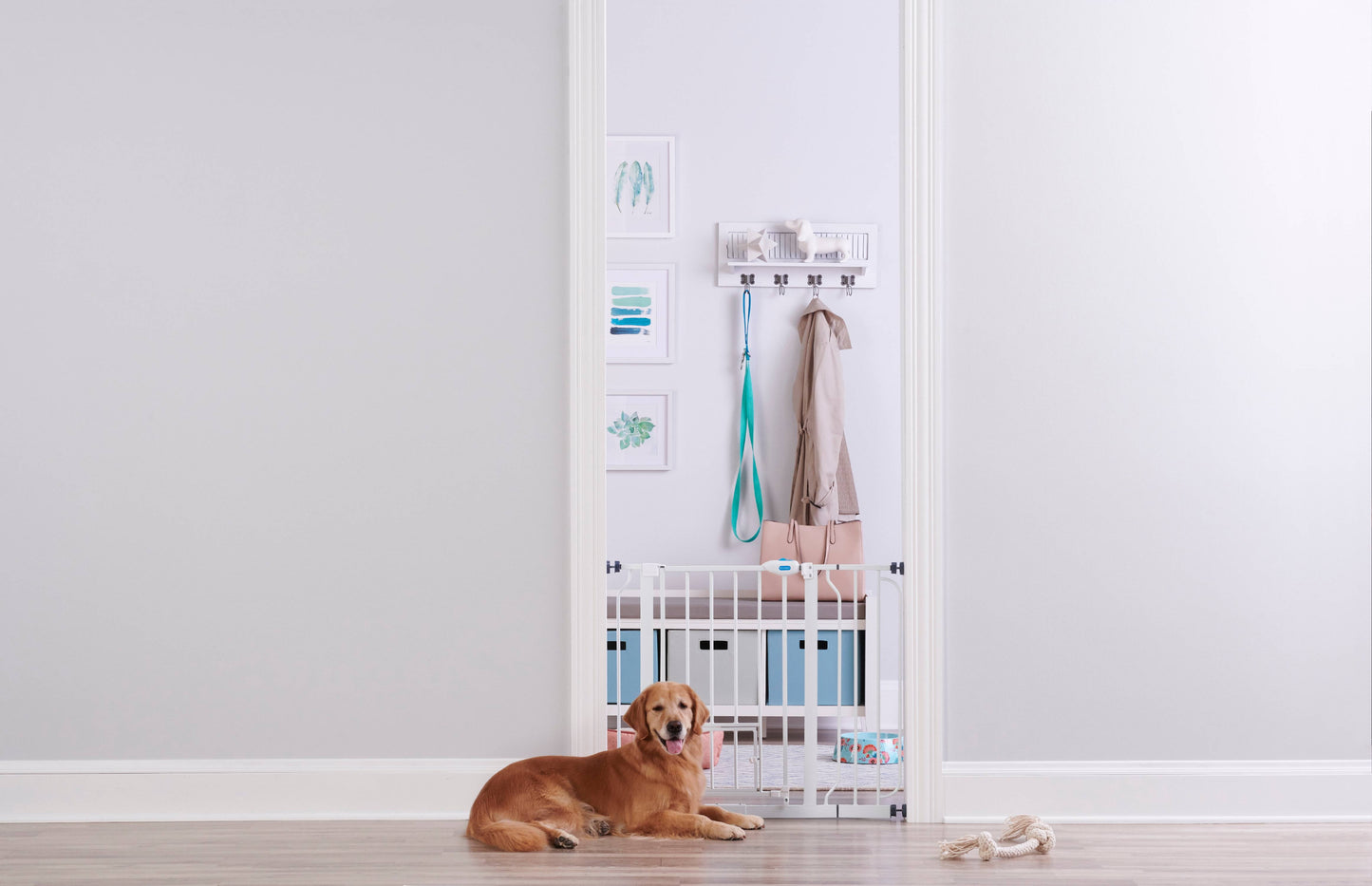 Extra-Wide Walk-Through Gate w/ Additional Small Door