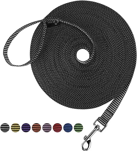 Dog/Puppy Obedience Recall Training Agility Lead - 15Ft 20Ft 30Ft 50Ft 100Ft Training Leash - Great for Training, Play, Camping, or Backyard Purple 100 Feet