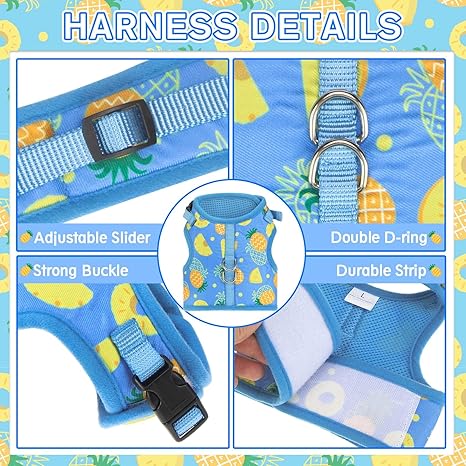 Soft Mesh Vest Harness and Leash Set