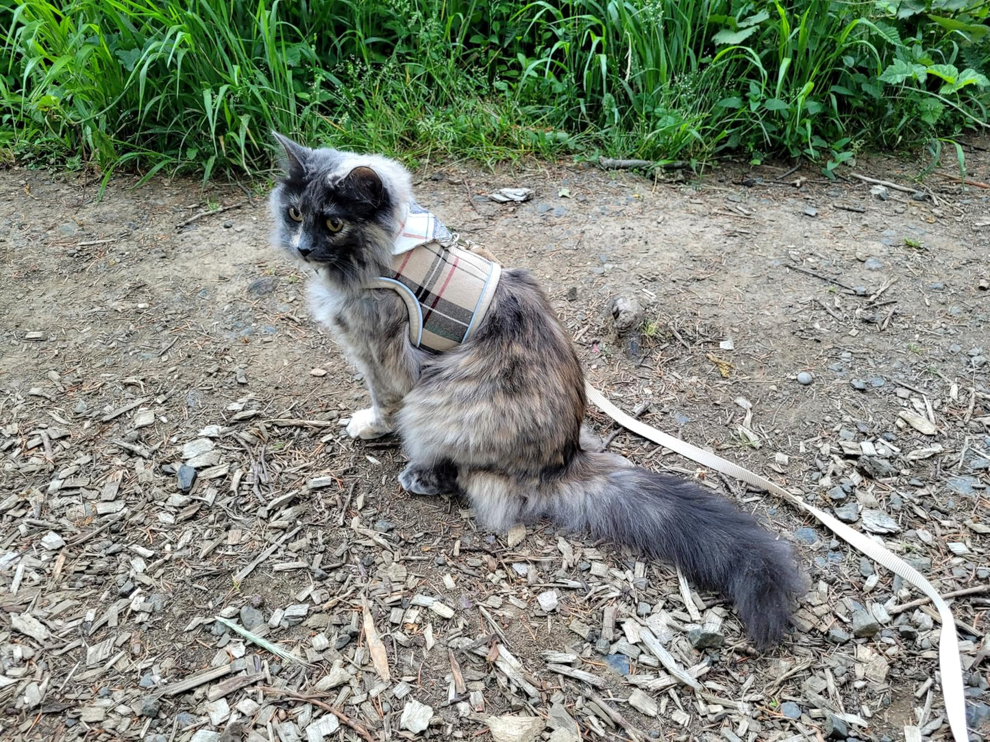 Soft Mesh Vest Harness and Leash Set