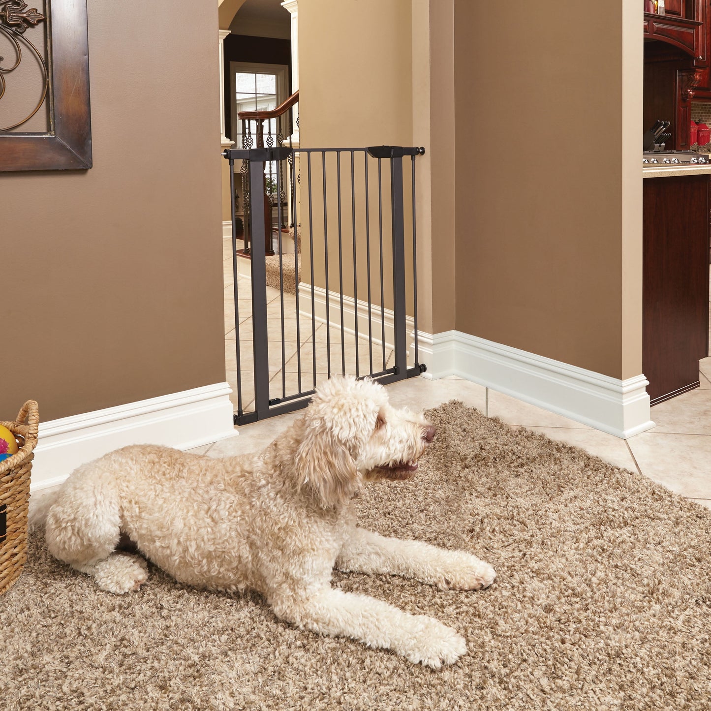 Steel Pet Gate 29" | 39"