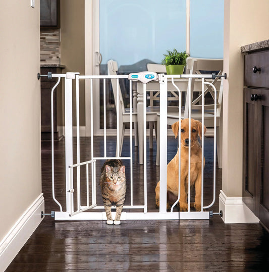 Extra-Wide Walk-Through Gate w/ Additional Small Door