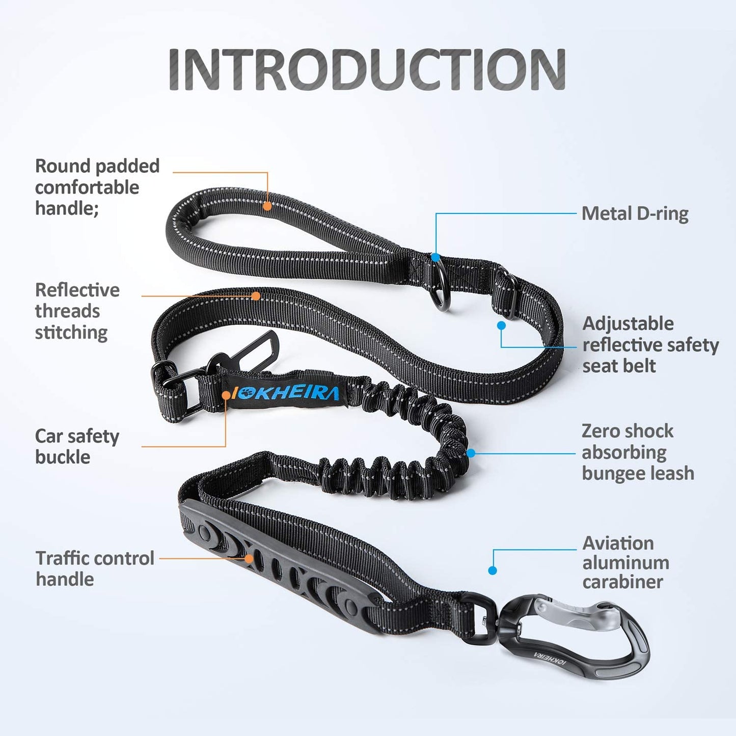 Multifunctional Bungee Leash | 4-6 FT