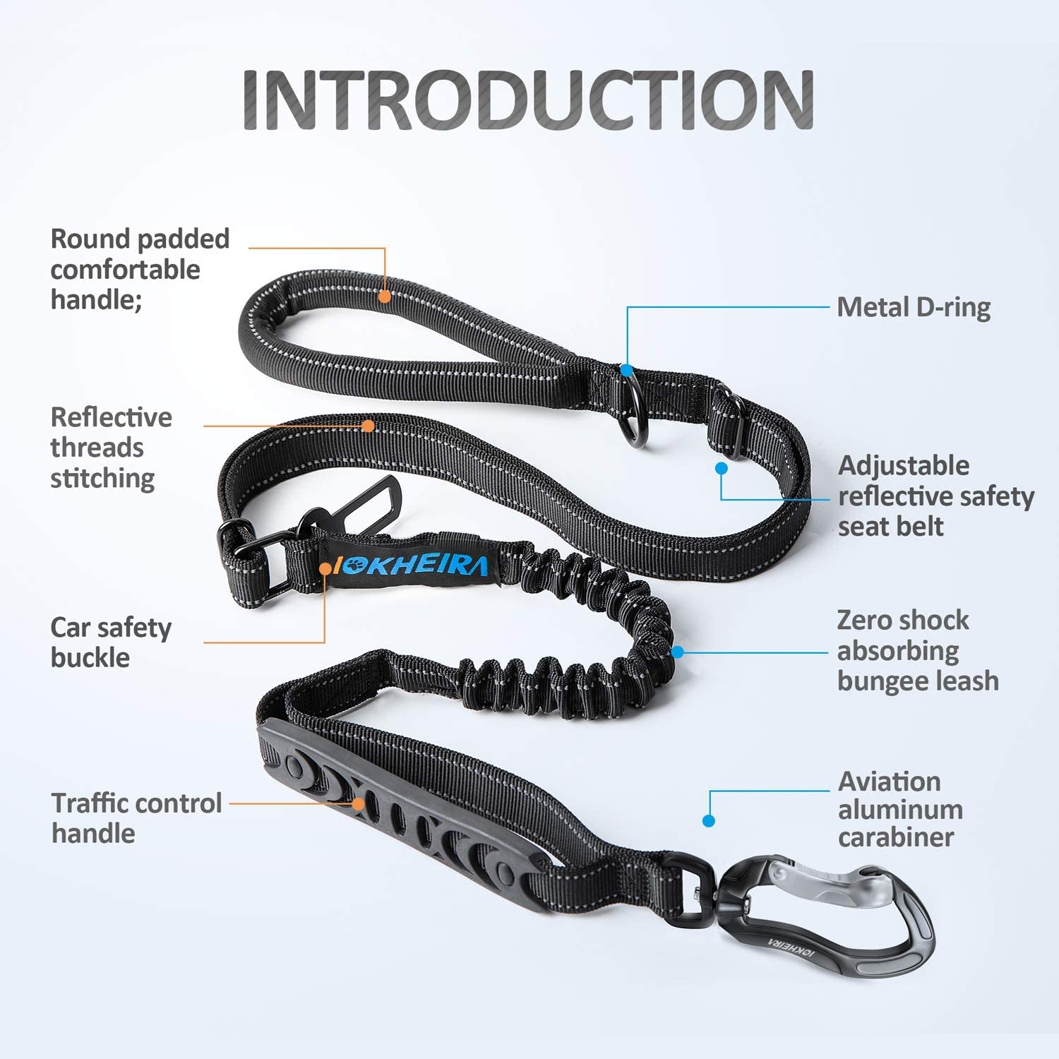 Multifunctional Bungee Leash | 4-6 FT