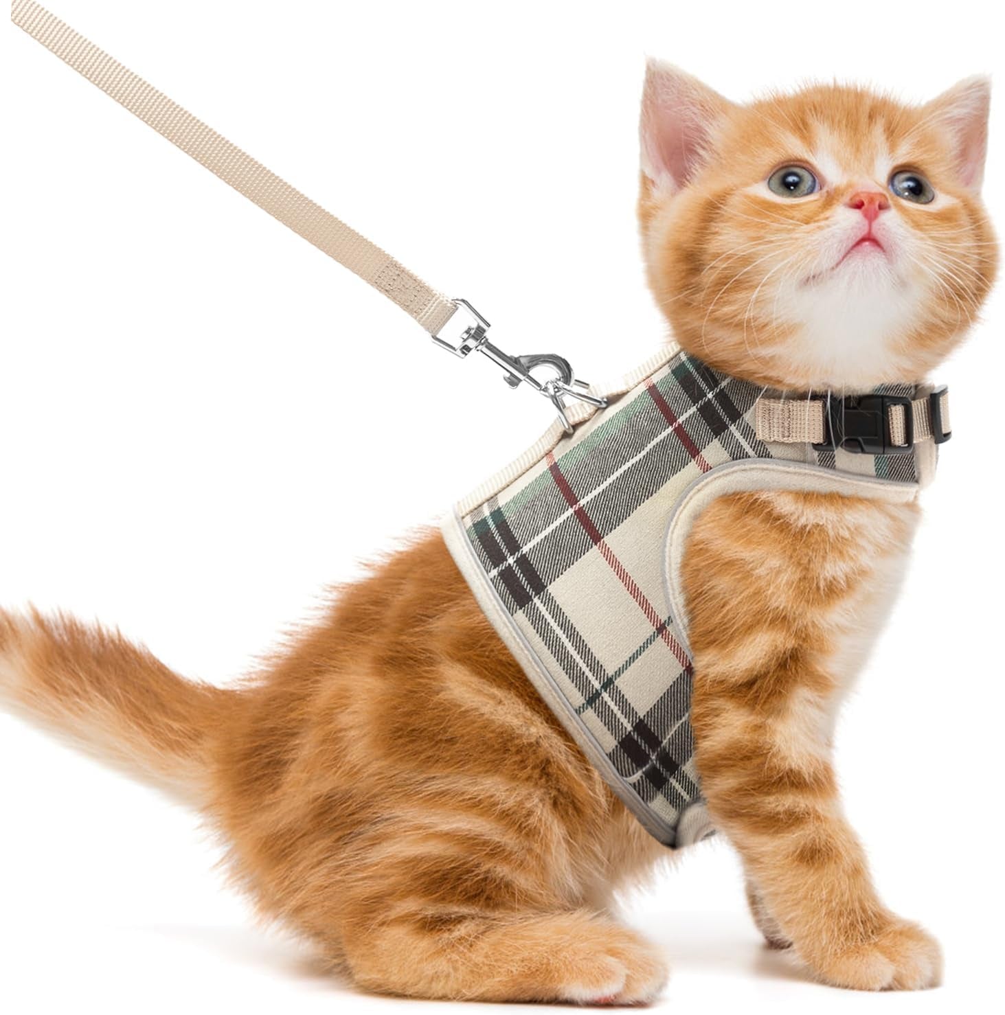 Soft Mesh Vest Harness and Leash Set