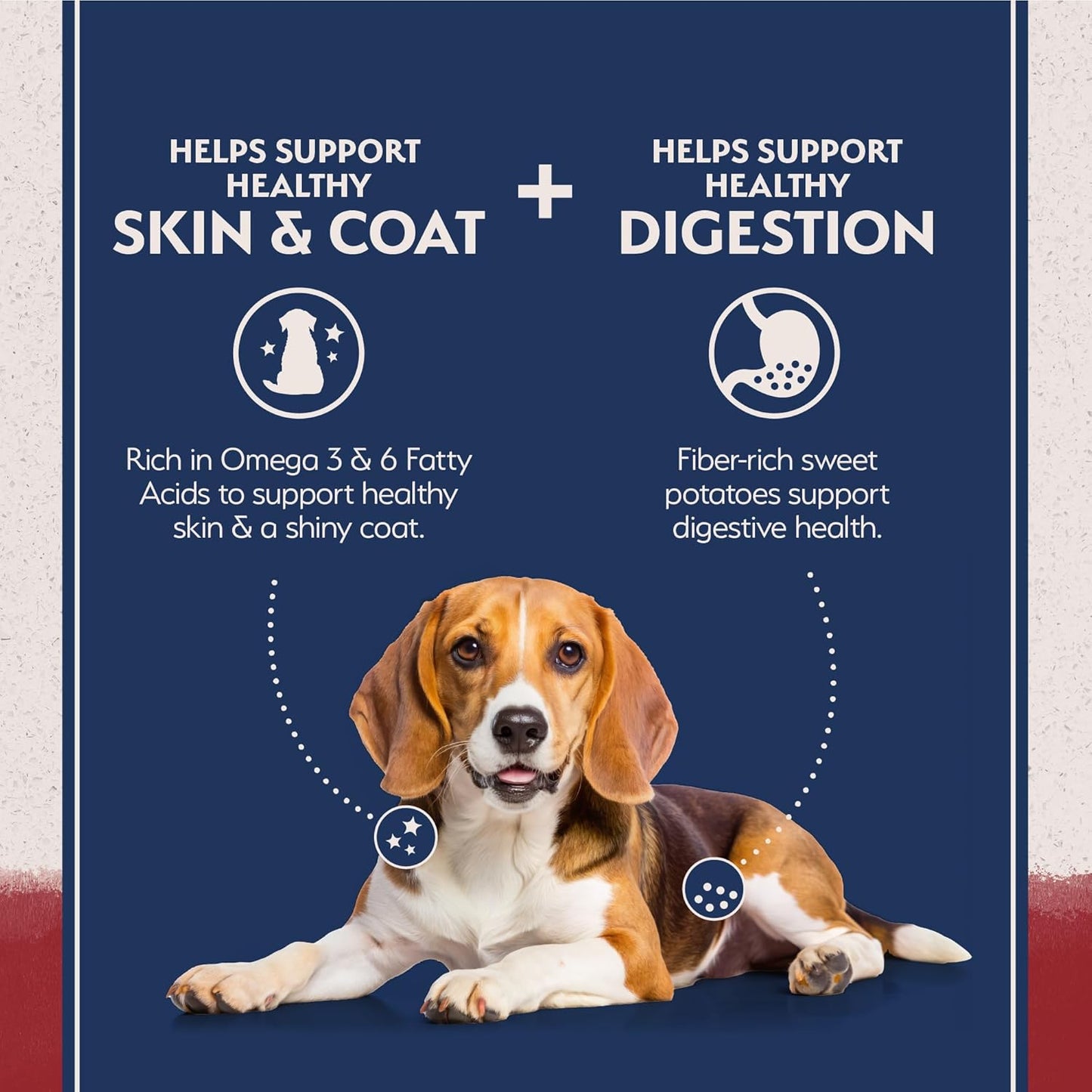 Natural Balance LID Dry Dog Food