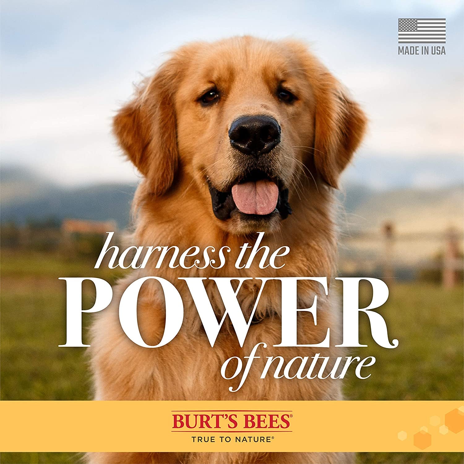 Deodorizing Dog Shampoo with Apple and Rosemary