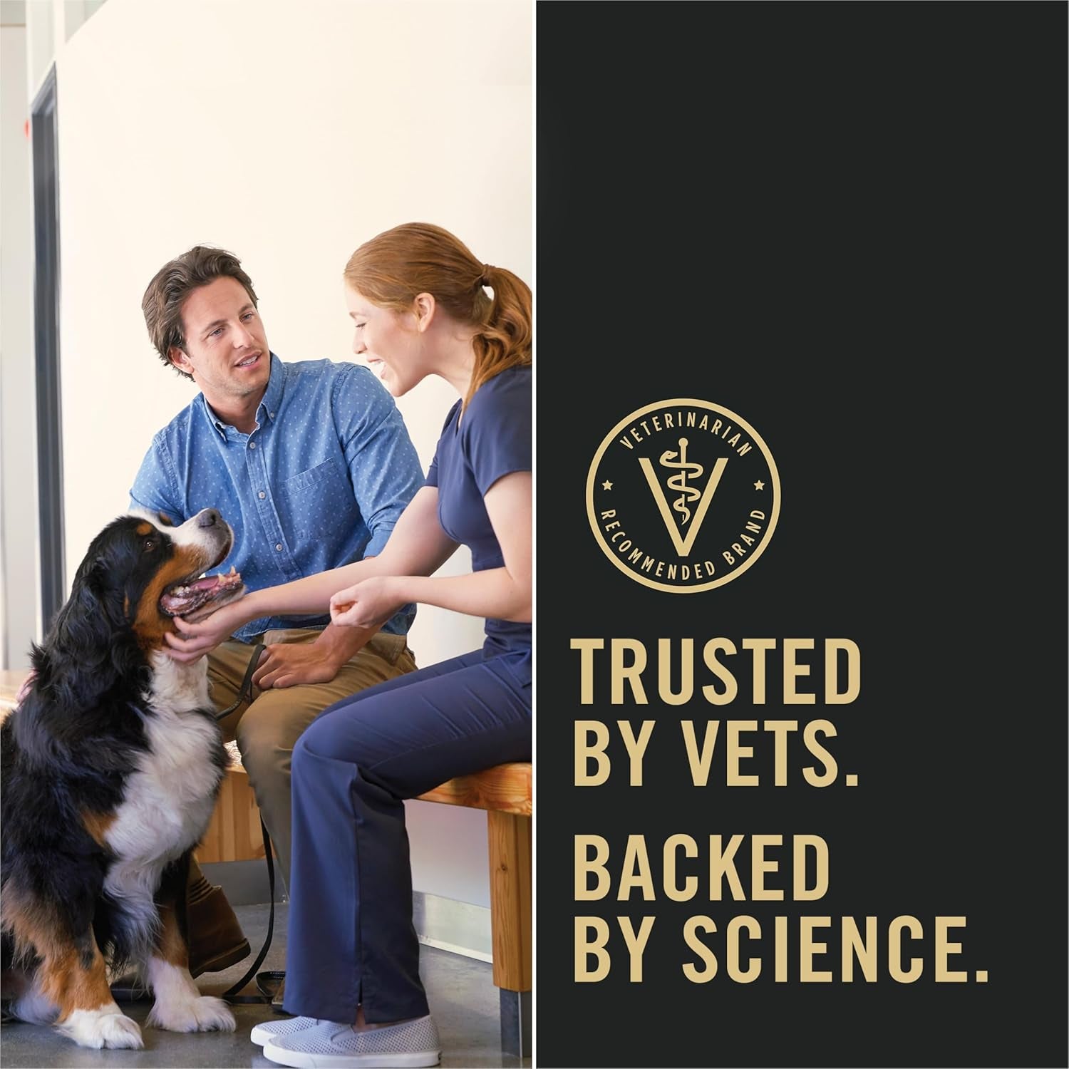 Purina Pro Plan Wet Dog Food - (Pack of 12) 13 Oz. Cans