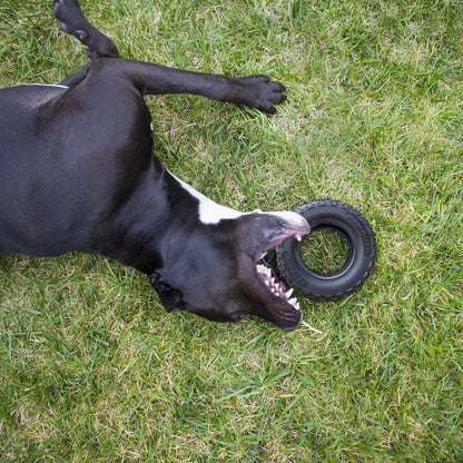 TireBiter Advanced Rubber Dog Toy