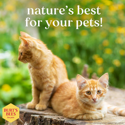 Hypoallergenic Cat Shampoo with Shea Butter and Honey