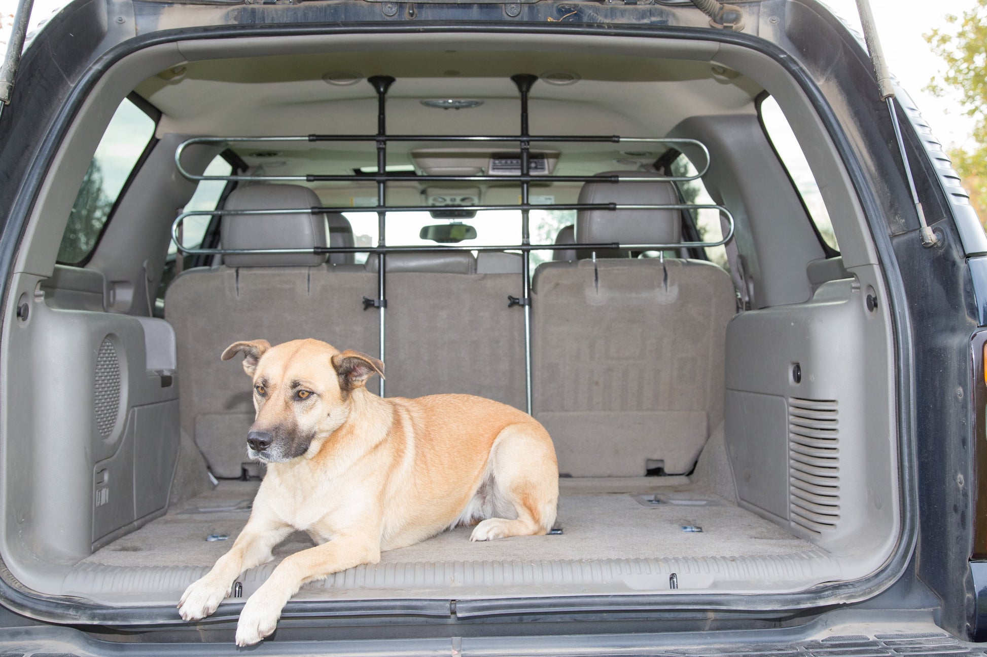 Pet Partition Vehicle Barrier