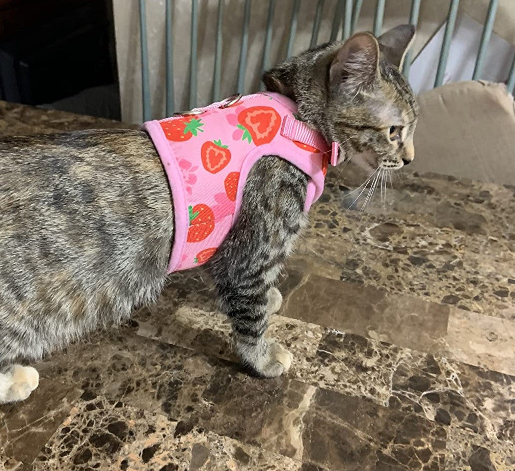 Soft Mesh Vest Harness and Leash Set