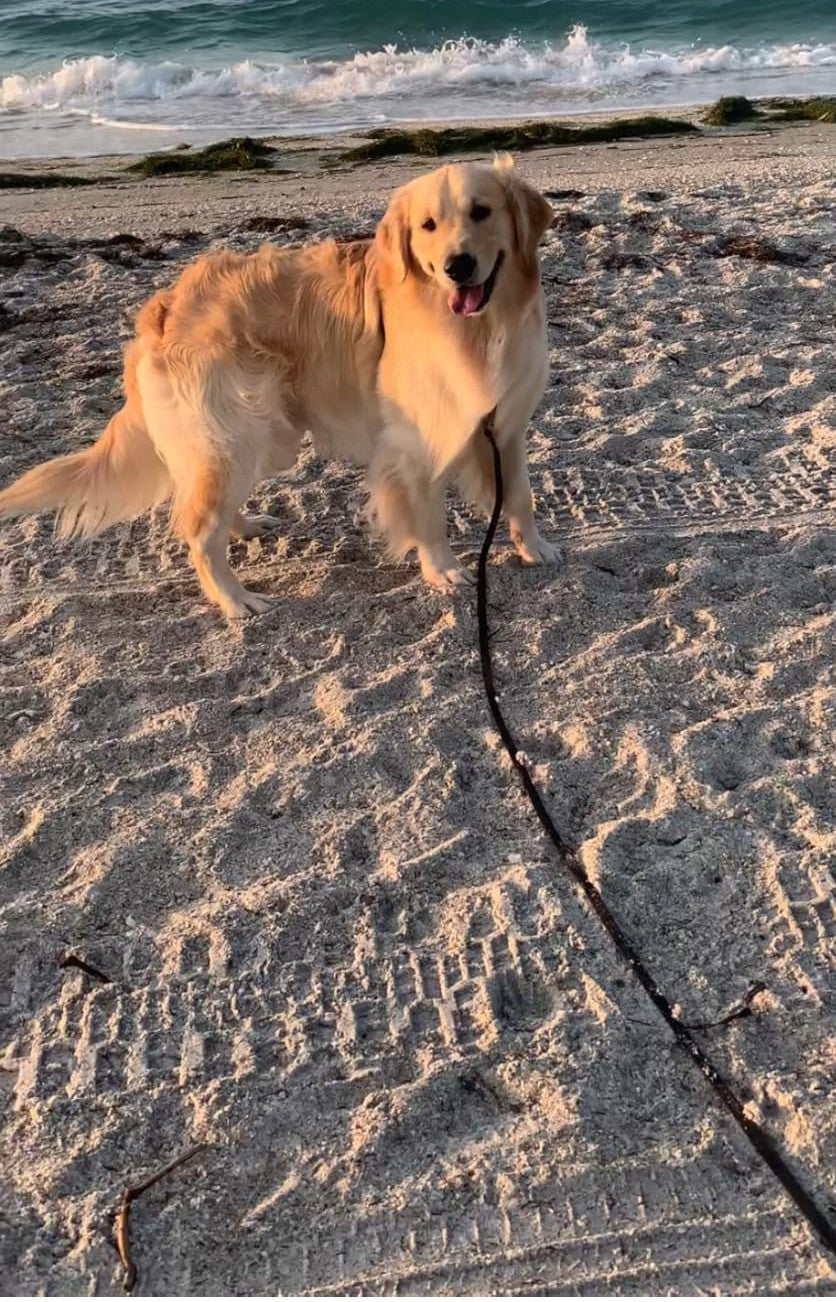 Waterproof Long Line