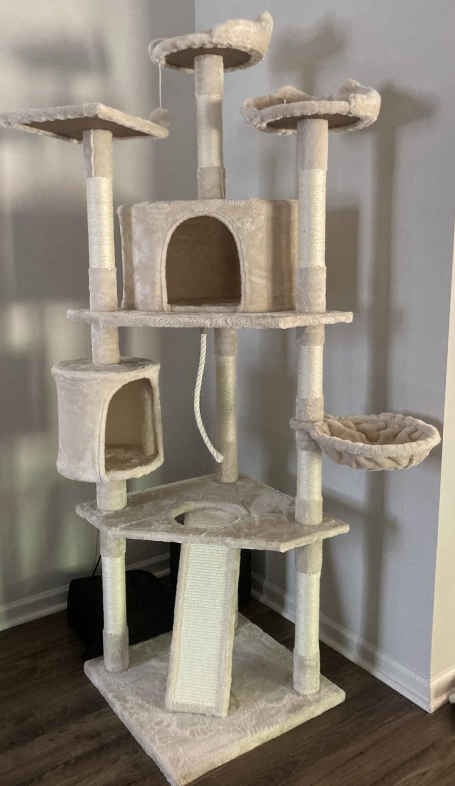 79 in Cat Tree Tower