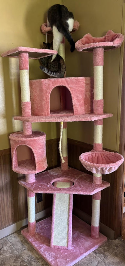 79 in Cat Tree Tower