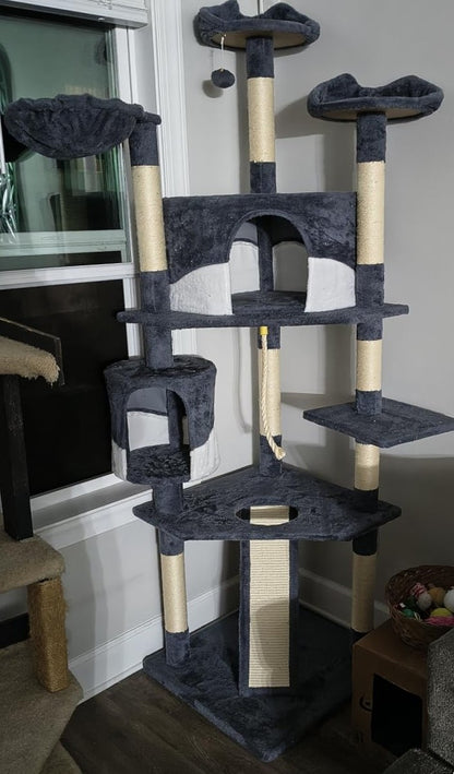 79 in Cat Tree Tower