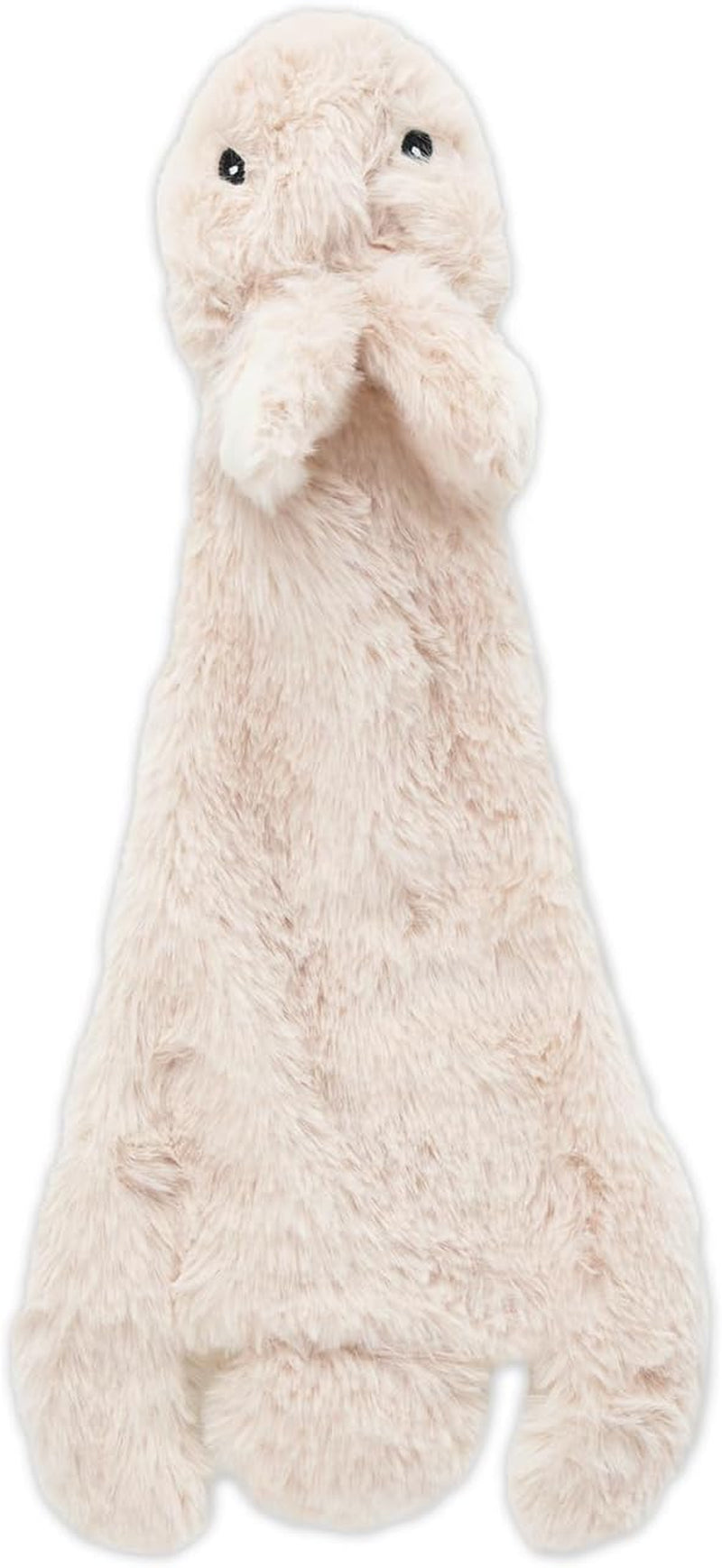 Squeaky Toys for Small, Medium and Large Dogs