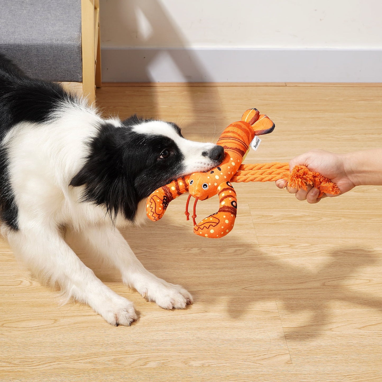 Squeaky Plush Lobster