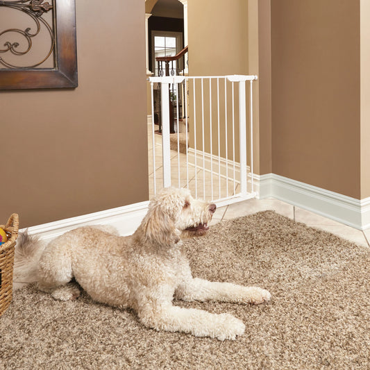 Steel Pet Gate 29" | 39"