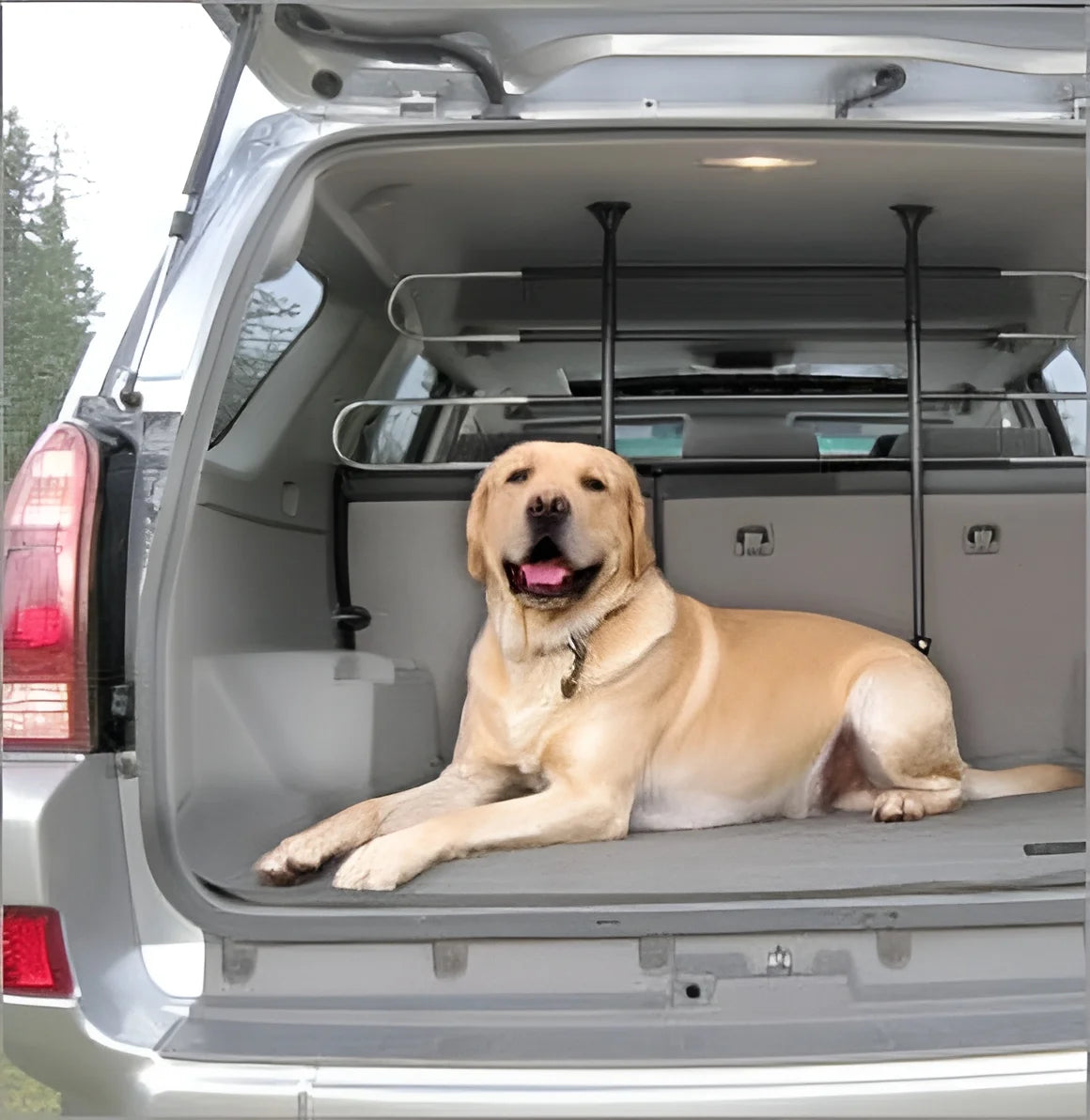 Pet Partition Vehicle Barrier