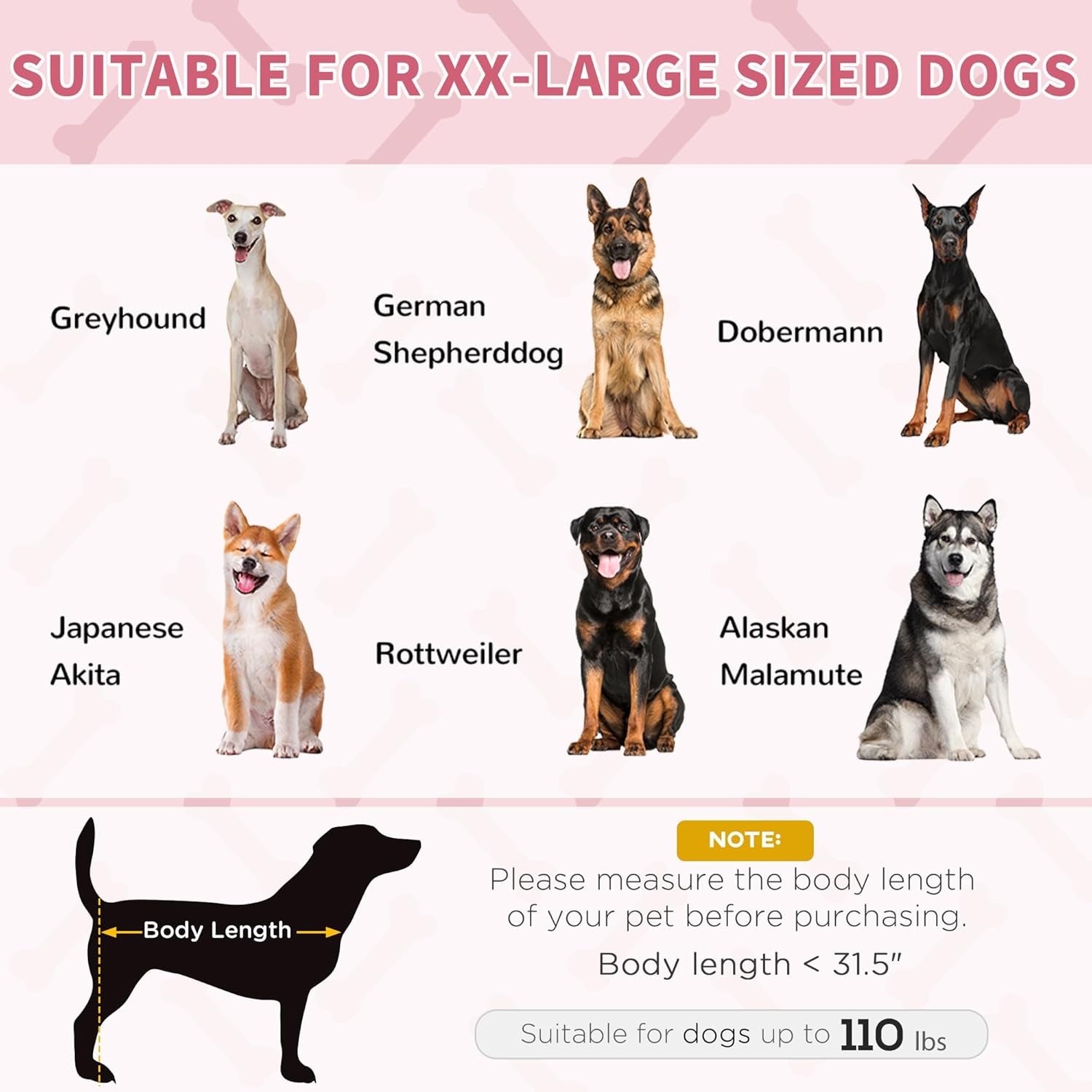48" X 36" Elevated Dog Bed - Red