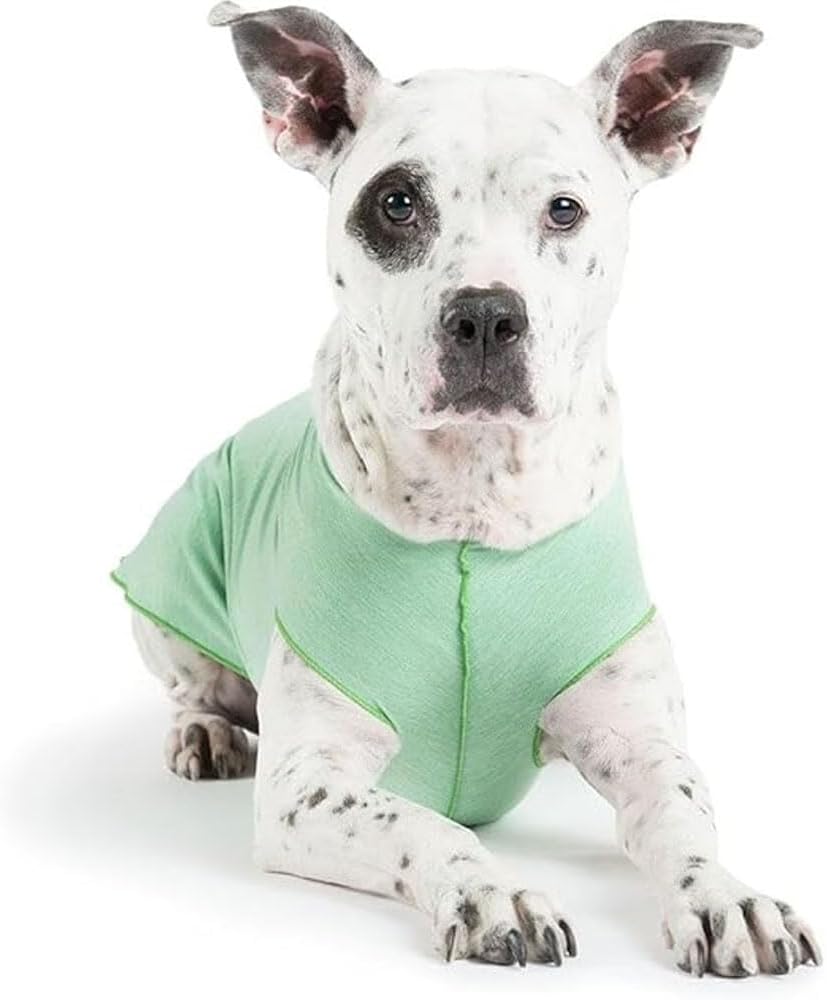 UV Protection & Cooling Shirt