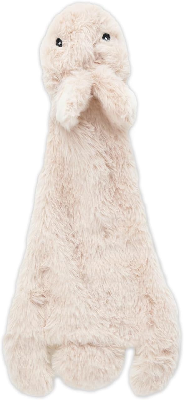 Squeaky Toys for Small, Medium and Large Dogs