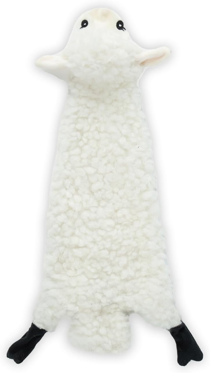 Squeaky Toys for Small, Medium and Large Dogs