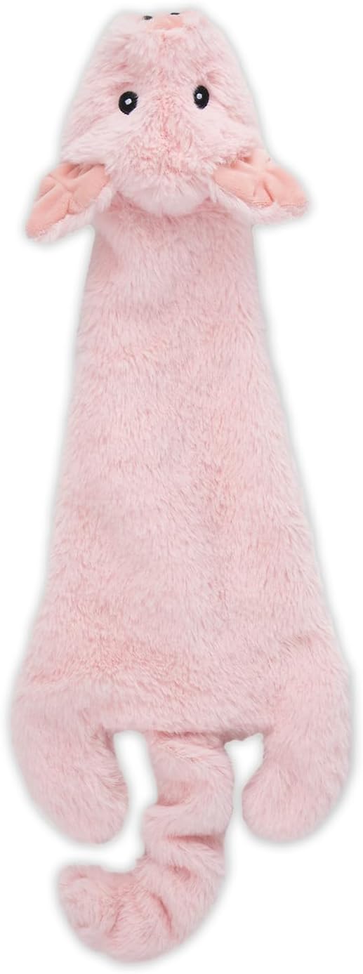 Squeaky Toys for Small, Medium and Large Dogs