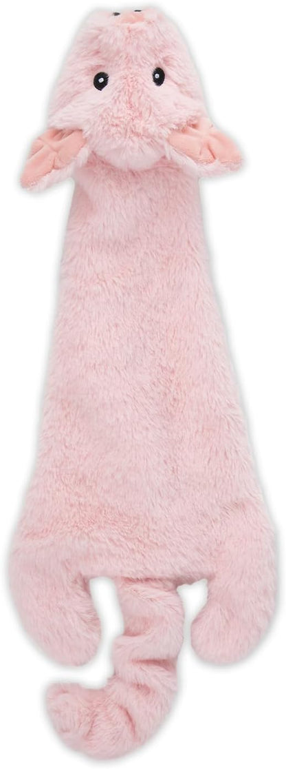 Squeaky Toys for Small, Medium and Large Dogs