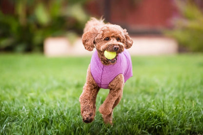 UV Protection & Cooling Shirt