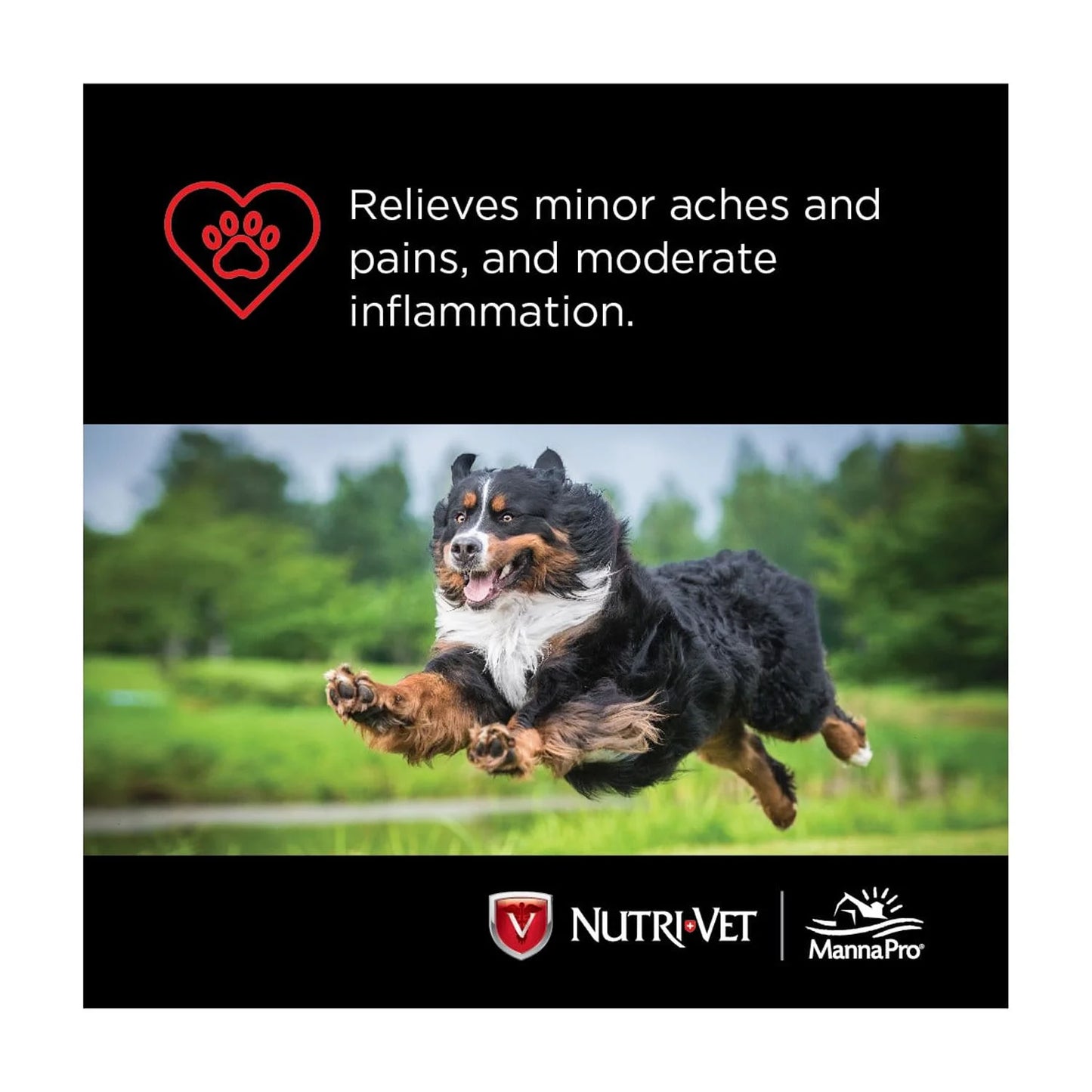 Aspirin for Medium to Large Dogs - 300Mg - 75 Count