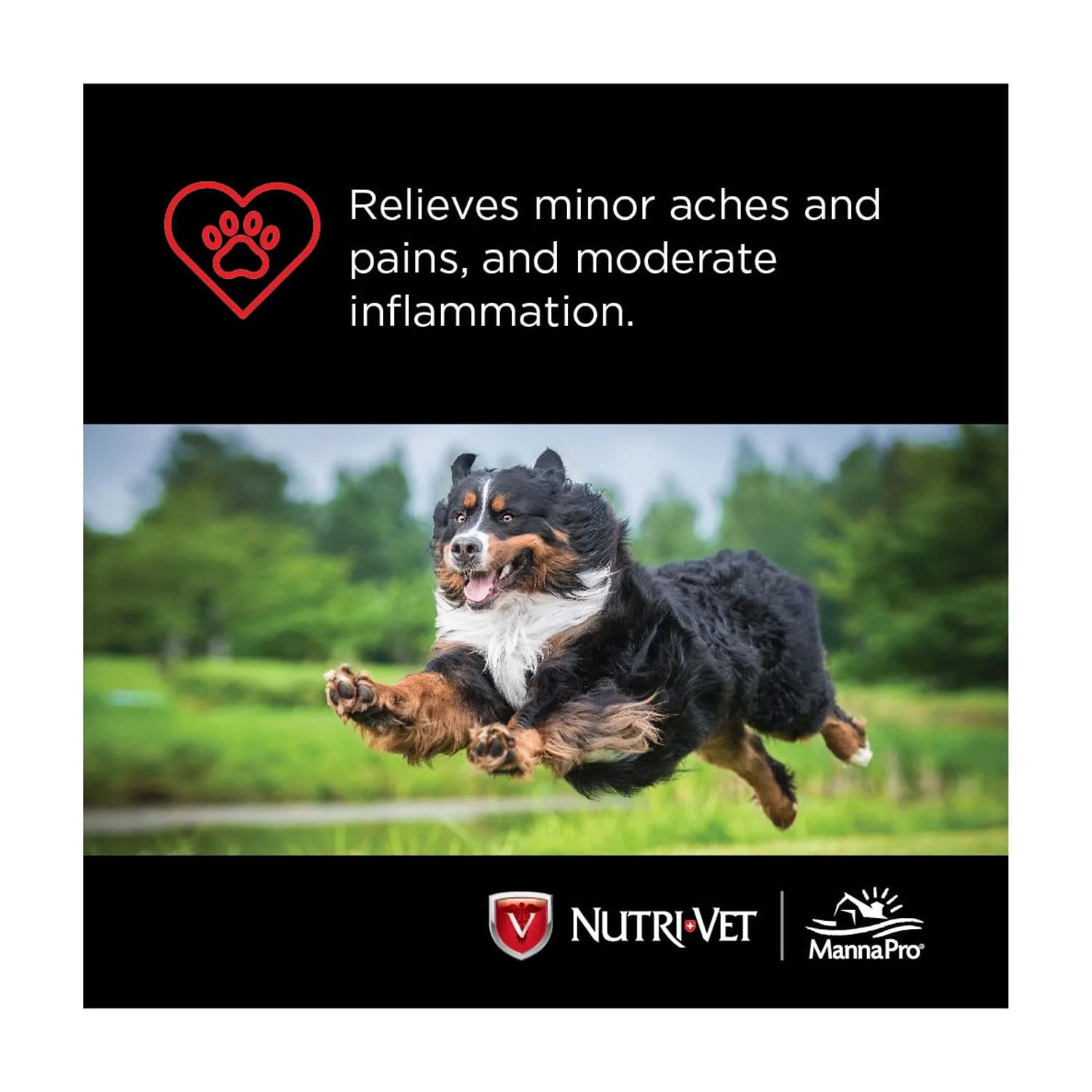 Aspirin for Medium to Large Dogs - 300Mg - 75 Count