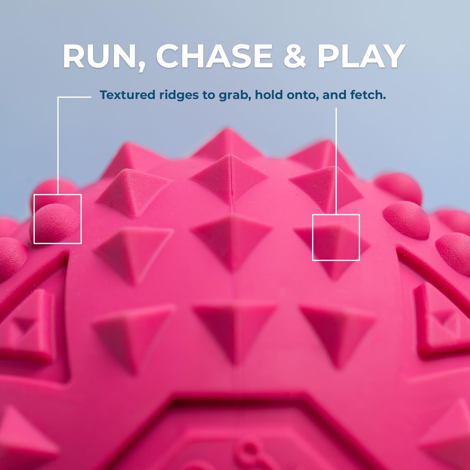 Squeaky Toys for Small, Medium and Large Dogs