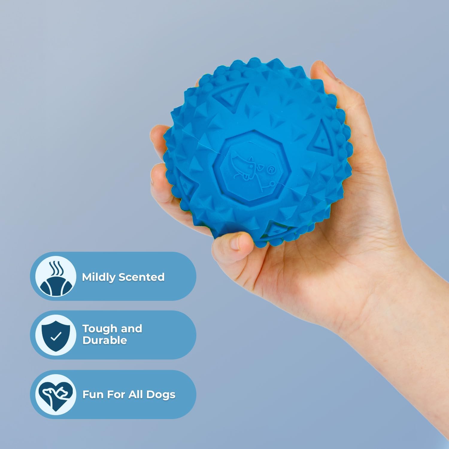 Squeaky Toys for Small, Medium and Large Dogs