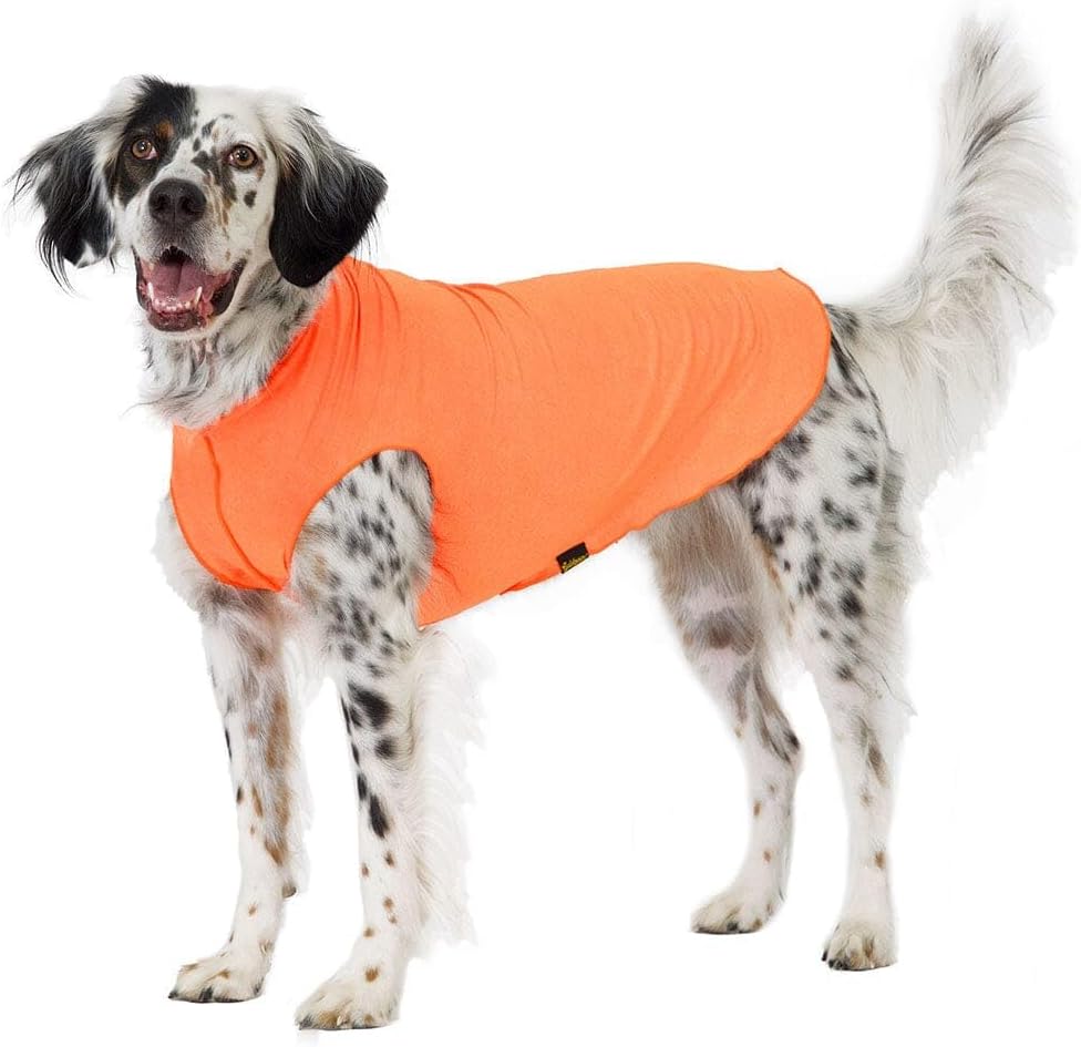 UV Protection & Cooling Shirt