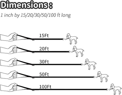 Dog/Puppy Obedience Recall Training Agility Lead - 15Ft 20Ft 30Ft 50Ft 100Ft Training Leash - Great for Training, Play, Camping, or Backyard Purple 100 Feet