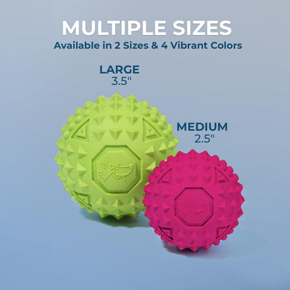 Squeaky Toys for Small, Medium and Large Dogs