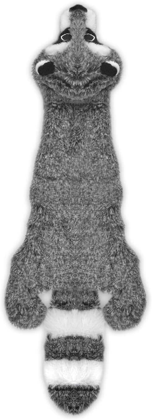 Squeaky Toys for Small, Medium and Large Dogs