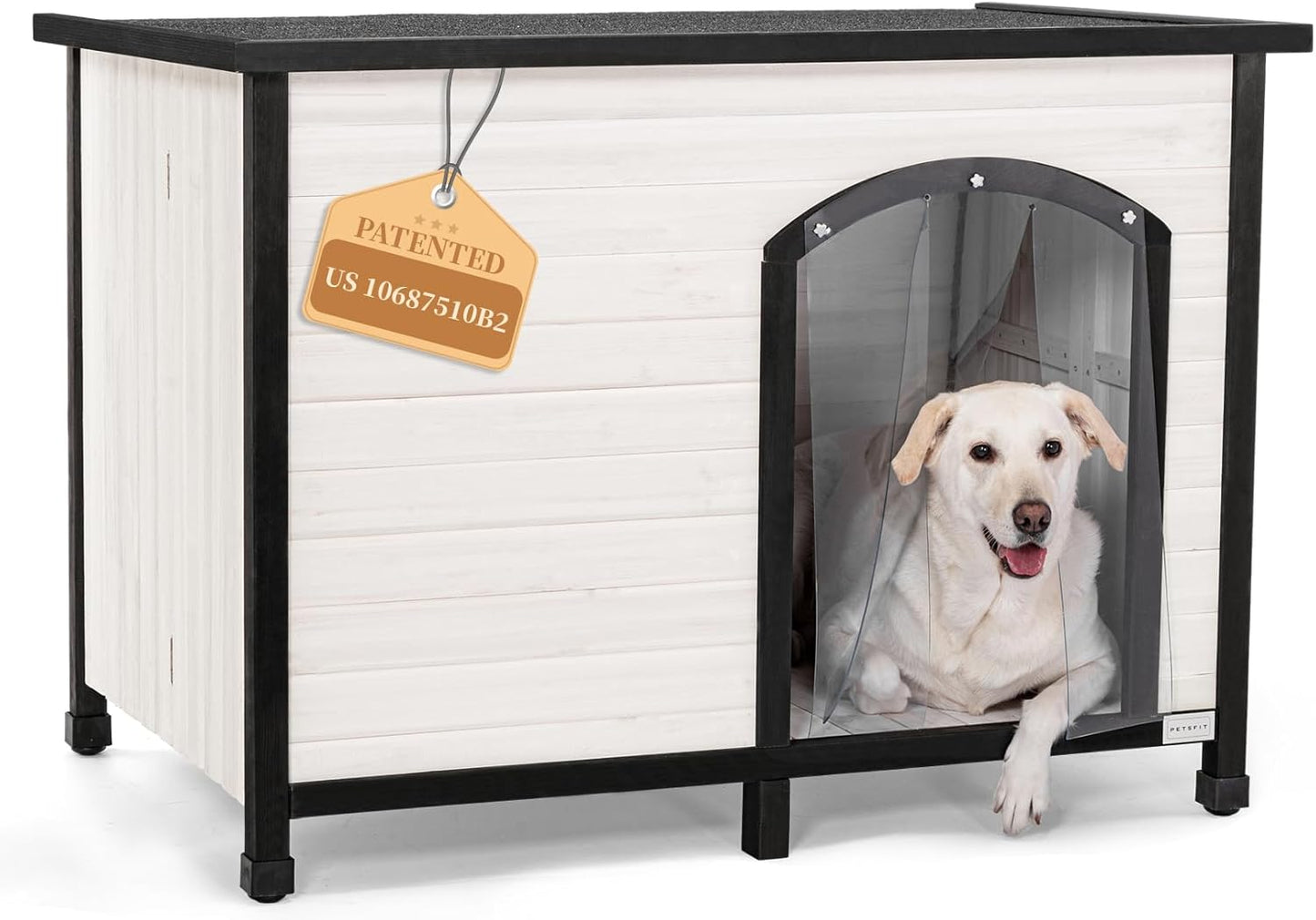 Indoor Dog House